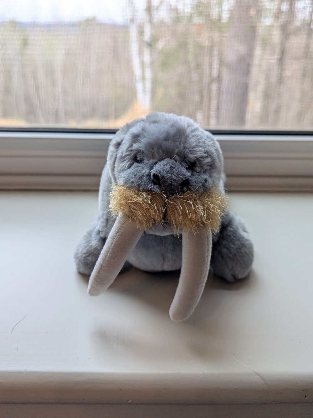 Webkinz - Walrus - no code
